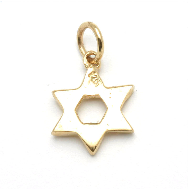 14k Yellow Gold Woven Star of David Pendant Small